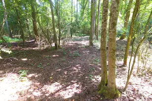 355 Dumas Rd, Forsyth, GA 31029 - Photo 49