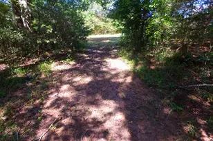 355 Dumas Rd, Forsyth, GA 31029 - Photo 53