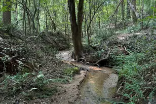 105 Magnolia Dr, Monticello, GA 31064 - Photo 67