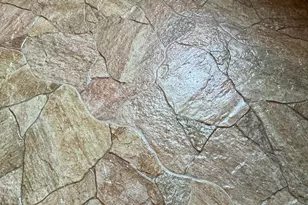 105 Magnolia Dr, Monticello, GA 31064 - Photo 17