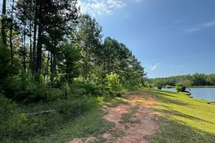 105 Magnolia Dr, Monticello, GA 31064 - Photo 81