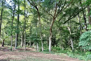 105 Magnolia Dr, Monticello, GA 31064 - Photo 57