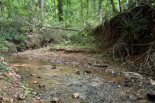 105 Magnolia Dr, Monticello, GA 31064 - Photo 69