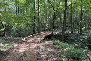 105 Magnolia Dr, Monticello, GA 31064 - Photo 63