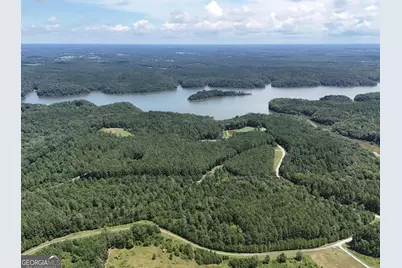 0 Jacks Hat Road, Elberton, GA 30635 - Photo 1