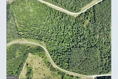 0 Jacks Hat Road, Elberton, GA 30635 - Photo 3