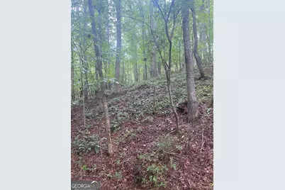 27 Mountain Creek Hollow Drive, Talking Rock, GA 30175 - Photo 11