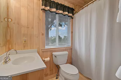 1387 Valley Street, Clayton, GA 30525 - Photo 29