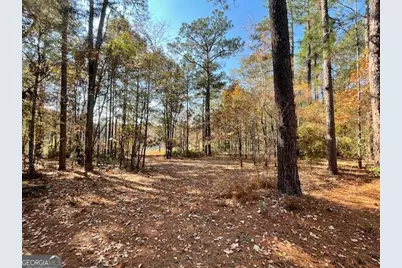 3195 Middleground Road, Statesboro, GA 30461 - Photo 25