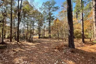 3195 Middle Ground Rd, Statesboro, GA 30461 - Photo 25