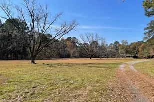 3195 Middle Ground Rd, Statesboro, GA 30461 - Photo 5