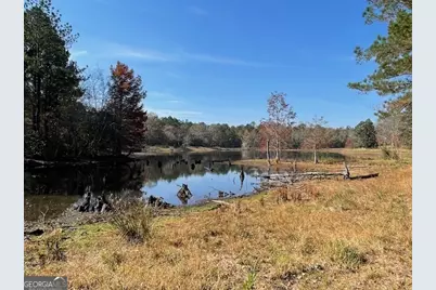 3195 Middleground Road, Statesboro, GA 30461 - Photo 9