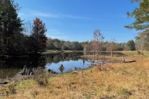 3195 Middle Ground Rd, Statesboro, GA 30461 - Photo 9