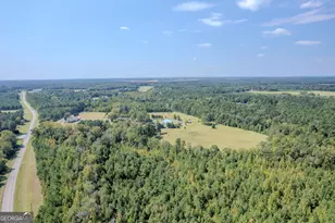 4499 Grady Mertz Rd, Tennille, GA 31089 - Photo 83