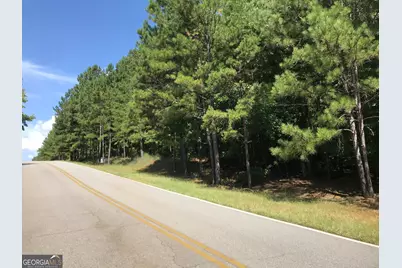 0 Lot 203 Jamesway Drive, Sparta, GA 31087 - Photo 3
