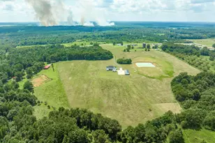 379 Horseshoe Bend Rd, Montezuma, GA 31063 - Photo 49