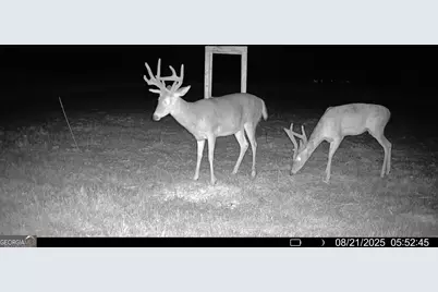 379 Horseshoe Bend Road, Montezuma, GA 31063 - Photo 53