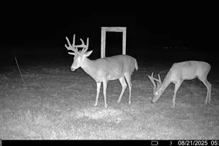 379 Horseshoe Bend Rd, Montezuma, GA 31063 - Photo 53