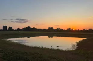 379 Horseshoe Bend Rd, Montezuma, GA 31063 - Photo 51