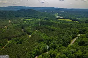 239 Ridge Top Dr, Ellijay, GA 30536 - Photo 11