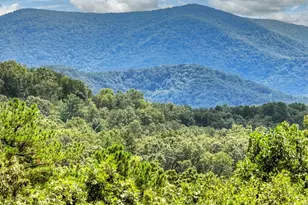 31 Haley Dr, Cherrylog, GA 30522 - Photo 3