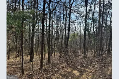 0 Scarlett Pippin Lane #1604, Clarkesville, GA 30523 - Photo 3
