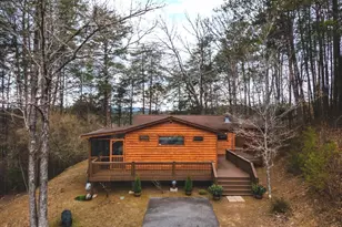 233 River Hills Rd, Mineral Bluff, GA 30559 - Photo 3