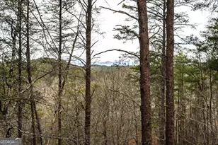 233 River Hills Rd, Mineral Bluff, GA 30559 - Photo 55