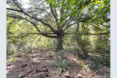 776 McBride Road, Fayetteville, GA 30215 - Photo 23