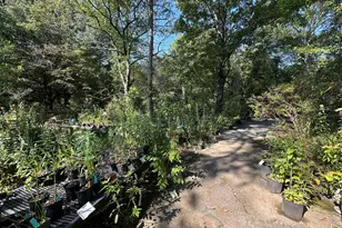 776 McBride Rd, Fayetteville, GA 30215 - Photo 13