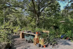 776 McBride Rd, Fayetteville, GA 30215 - Photo 9