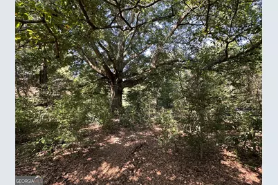 776 McBride Road, Fayetteville, GA 30215 - Photo 27