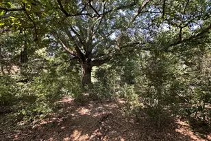 776 McBride Rd, Fayetteville, GA 30215 - Photo 27