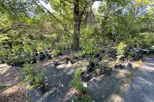 776 McBride Rd, Fayetteville, GA 30215 - Photo 15