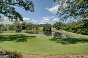 925 Hwy 36 E, Jackson, GA 30233 - Photo 69