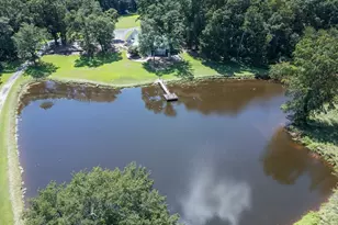 925 Hwy 36 E, Jackson, GA 30233 - Photo 83