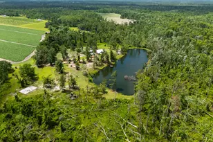 4899 Hickory Grove Rd N, Valdosta, GA 31606 - Photo 13