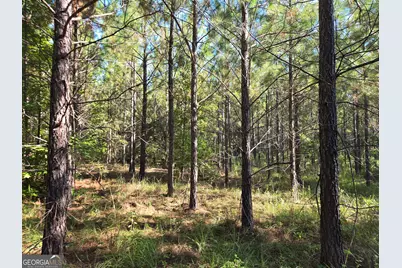 00 Walden Way, Adrian, GA 31002 - Photo 7