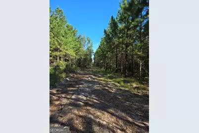 00 Walden Way, Adrian, GA 31002 - Photo 9