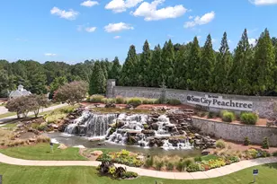 321 Anna Ruby Ct, Griffin, GA 30223 - Photo 73