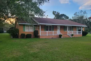 139 Moore Street N, Willacoochee, GA 31650 - Photo 3