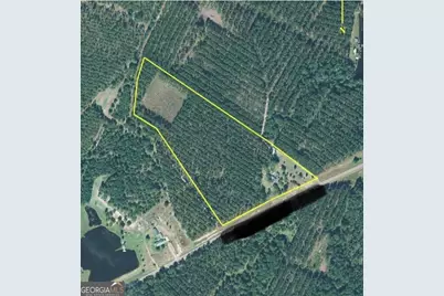 1066 Millen Hiltonia Road, Sylvania, GA 30467 - Photo 5