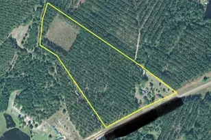 1066 Millen Hiltonia Rd, Sylvania, GA 30467 - Photo 5