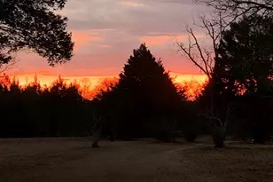 1066 Millen Hiltonia Rd, Sylvania, GA 30467 - Photo 23