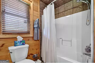 7117 Mineral Bluff Highway, Mineral Bluff, GA 30559 - Photo 9