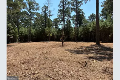 Tracts 1 &amp; 5 Old Rumble Road, Forsyth, GA 31029 - Photo 9