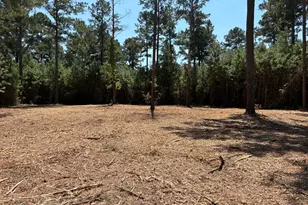 Tracts 1 &amp 5 Old Rumble Rd, Forsyth, GA 31029 - Photo 1