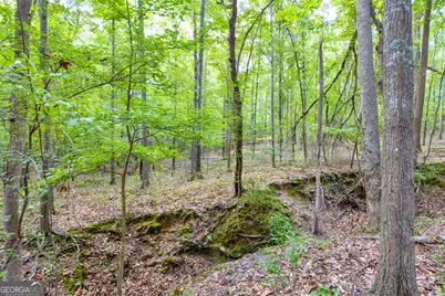 0 Winding Way #LOT G, Hartwell, GA 30643 - Photo 25