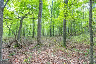 0 Winding Way #LOT G, Hartwell, GA 30643 - Photo 23