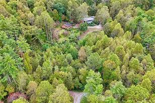 52 Lucky Ln, Rabun Gap, GA 30568 - Photo 53